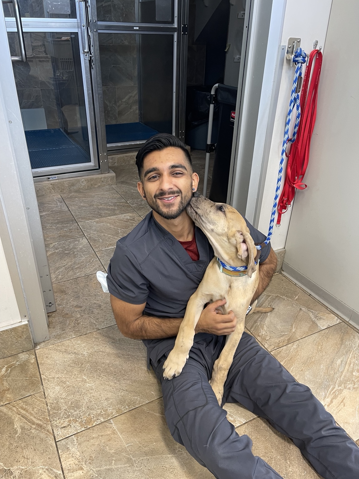 Bilal, trainer at Off Duty Dogs, with a dog